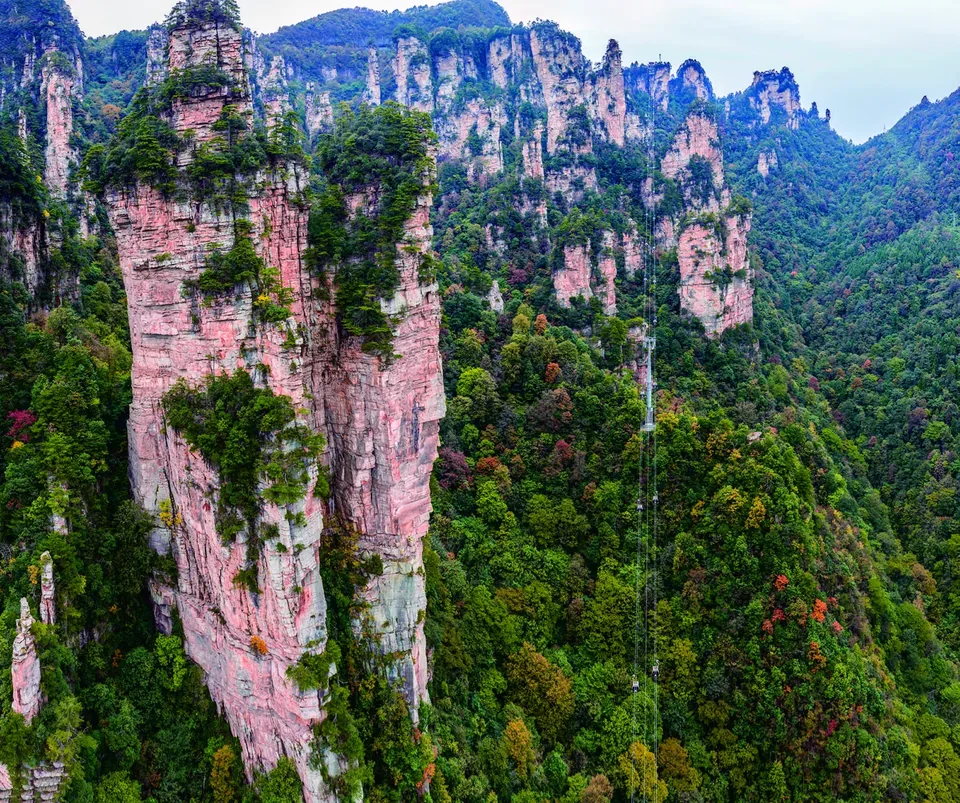 A wide sandstone peak forest