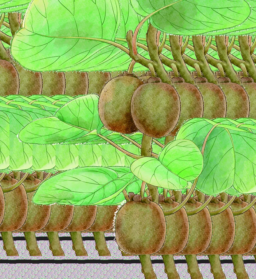 Climate and plant life