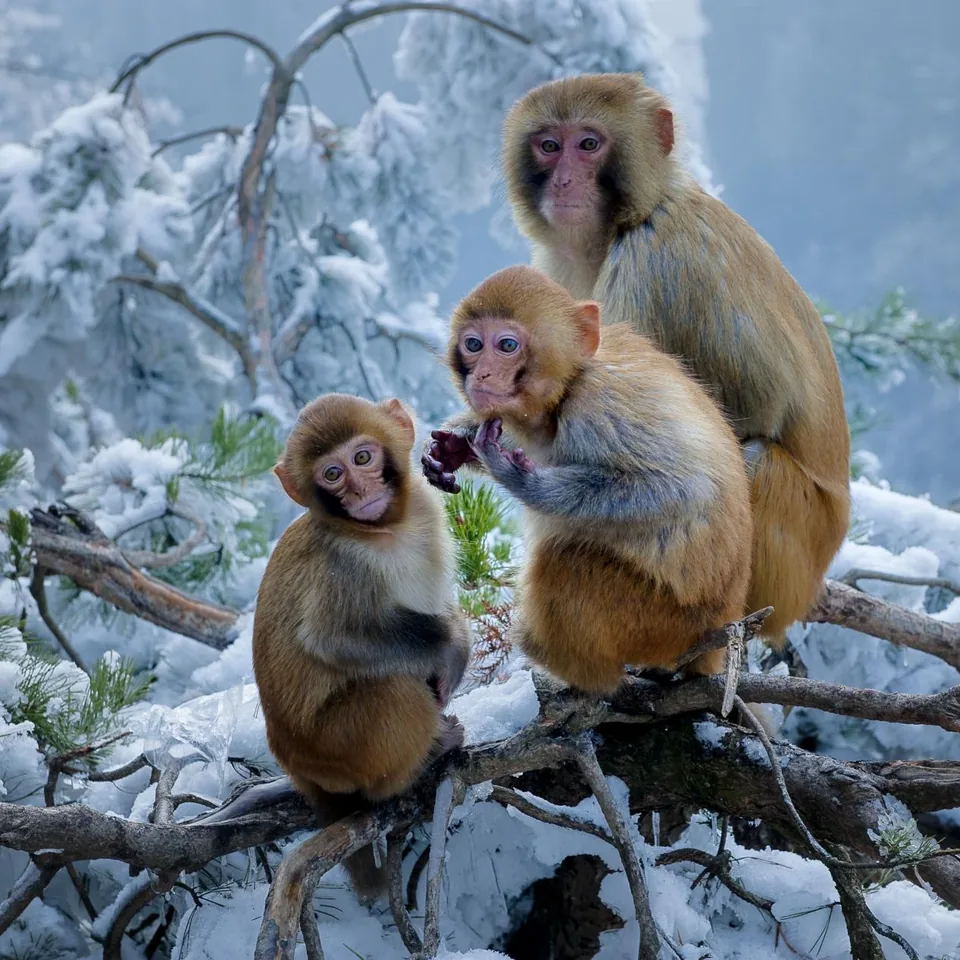 Rare plants and wildlife
